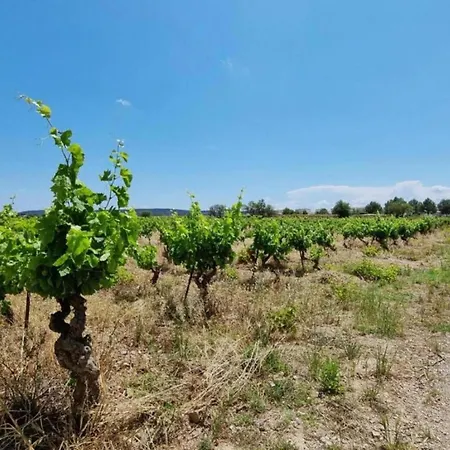 With Terrace In Languedoc