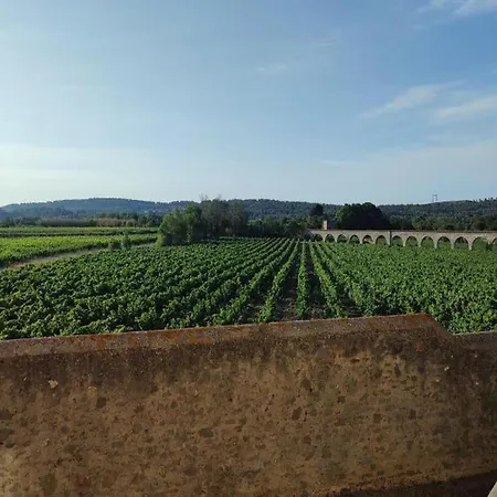 With Terrace In Languedoc Сasa de vacaciones